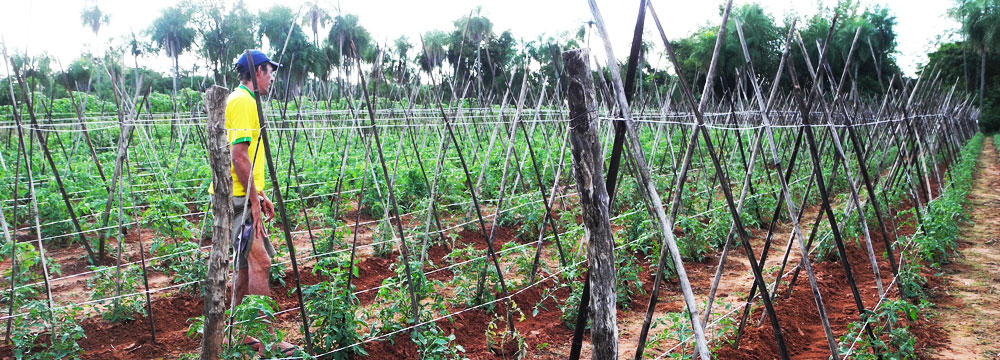  NUEVA ITALIA<br />
PARAGUAY<br />
<br />
