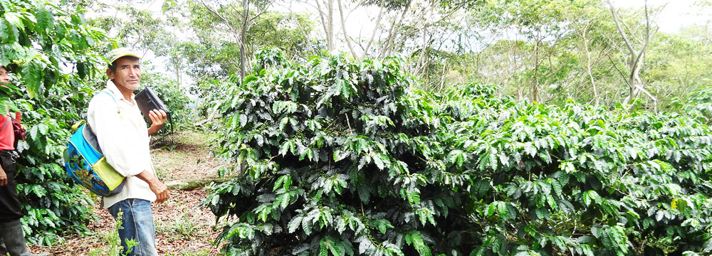  SAN MARTÍN<br />
PERÚ<br />
<br />
