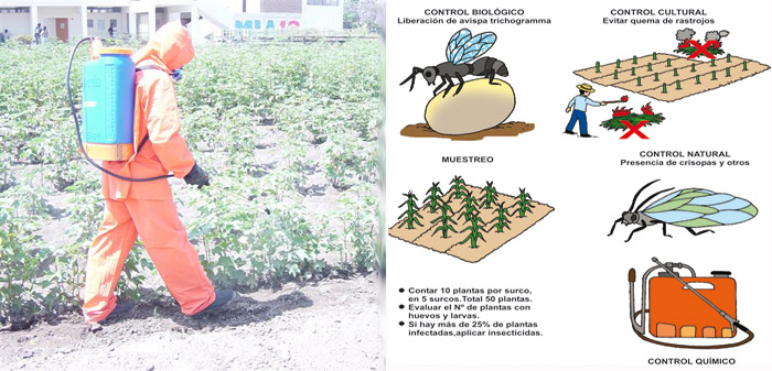 Emision de recomendaciones de control